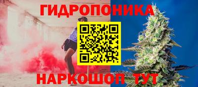 стаф Бузулук