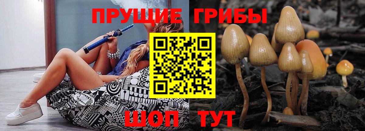 Псилоцибиновые грибы мухоморы  Вход с VPN  Псилоцибиновые грибы Cubensis  Тимашёвск 