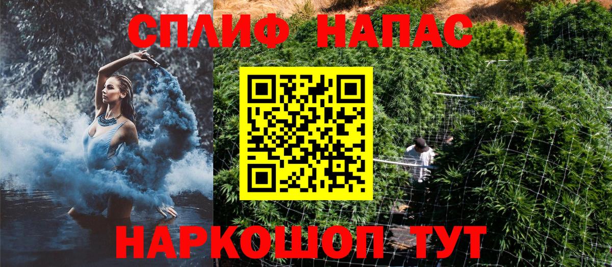 Конопля MAZAR Тимашёвск